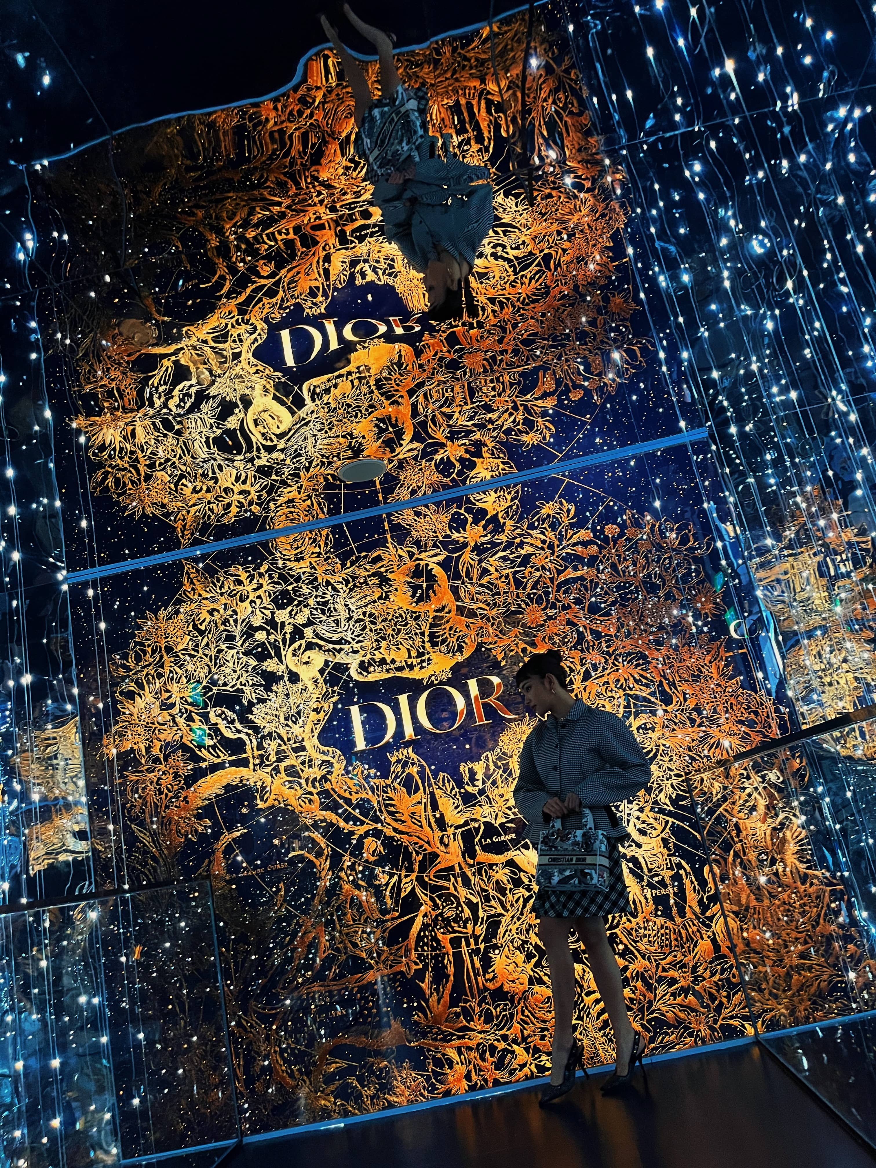 dior holiday singapore