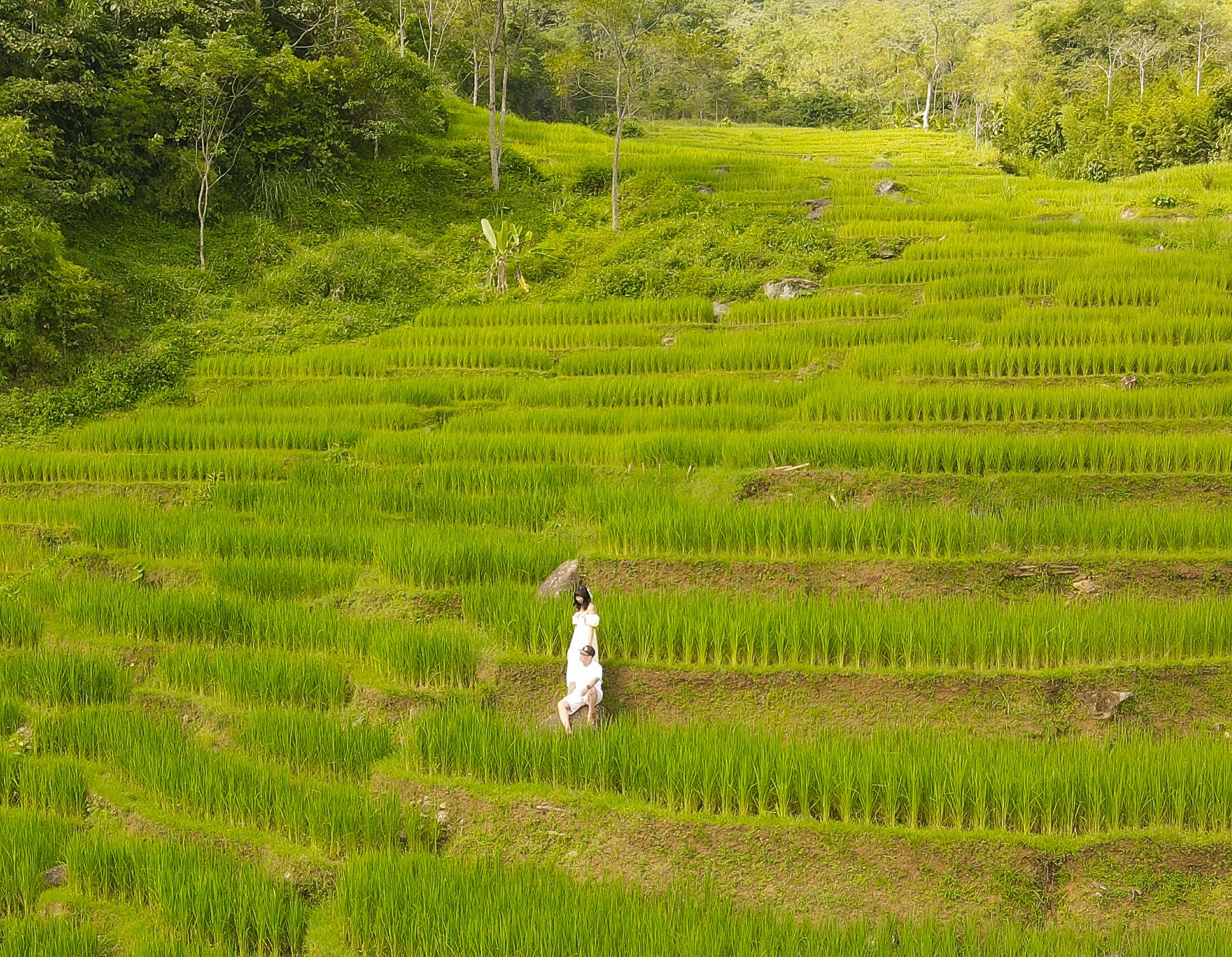 du lịch pù luông ruộng bậc thang